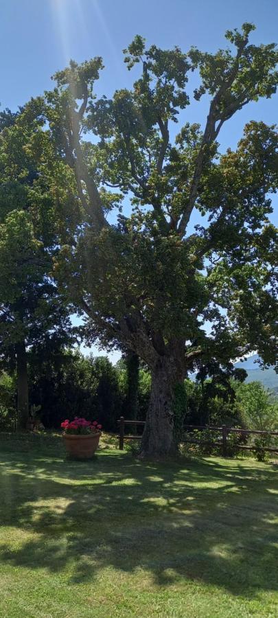 Poggio Al Sole Hotel Fiesole Exterior photo