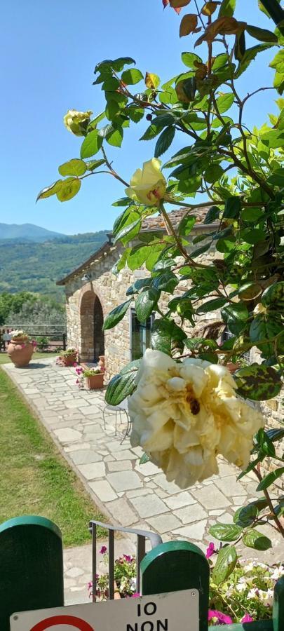 Poggio Al Sole Hotel Fiesole Exterior photo